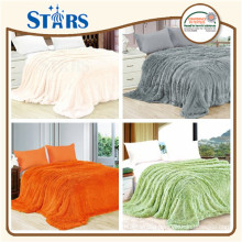 GS-FFPVB-5 Custom Thick Polyester winter blankets bed for home